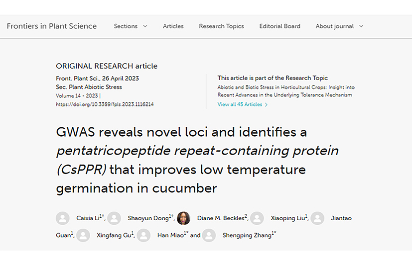 Researchers discover novel genes regulating cucumber seed germination in low temperature