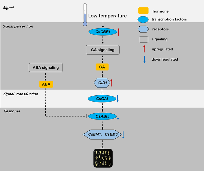 Figure 2.jpg