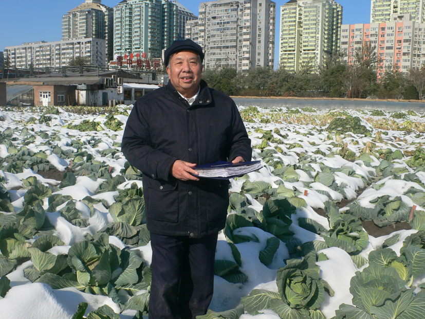 方智远院士在雪后田间调查.jpg