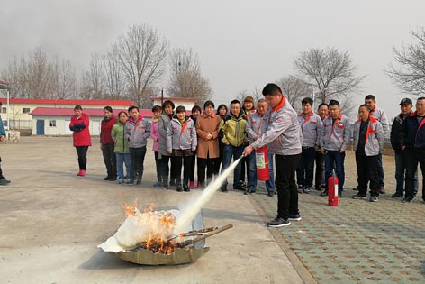 菠菜网站