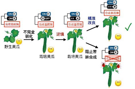 菠菜网站