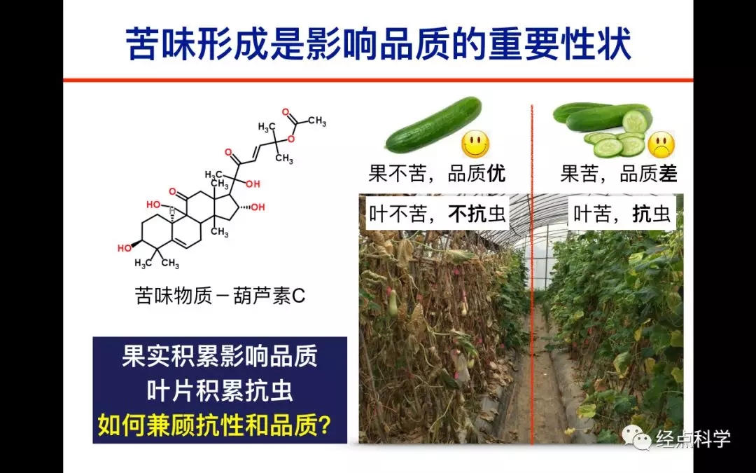 菠菜网站