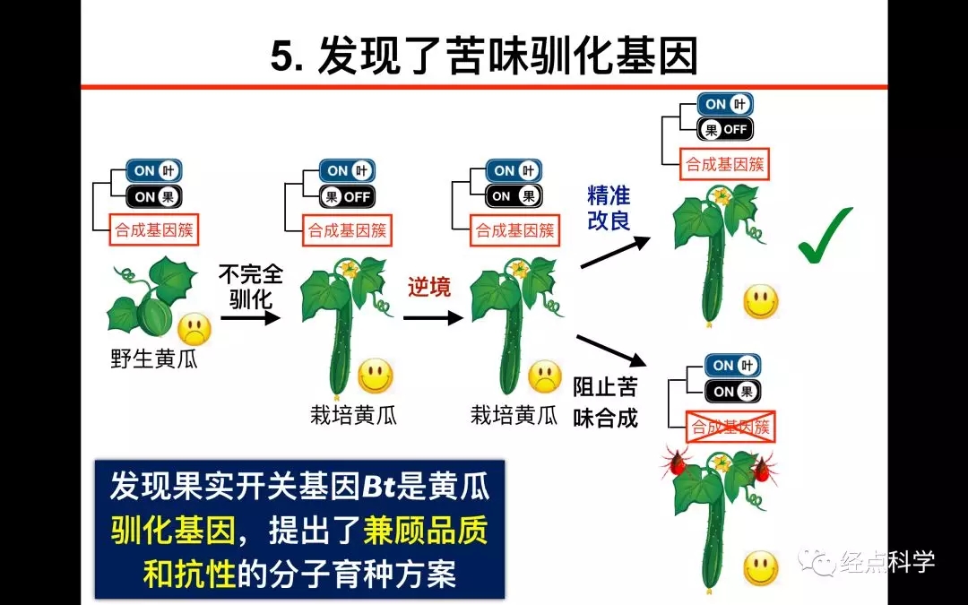 菠菜网站