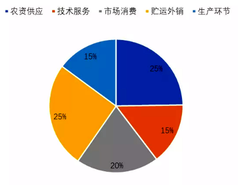 菠菜网站