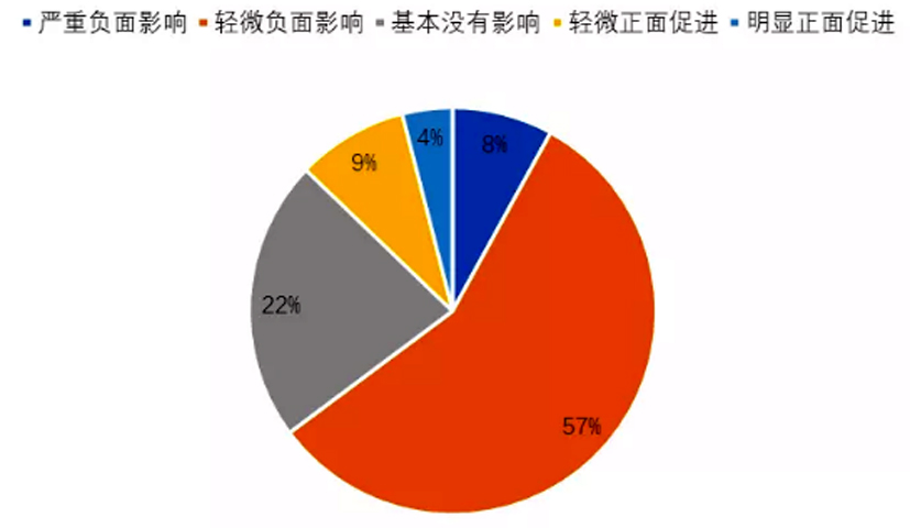 菠菜网站