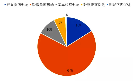 菠菜网站