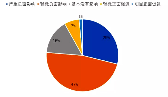 菠菜网站