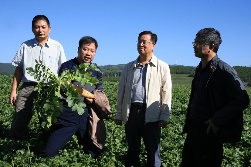 菠菜网站