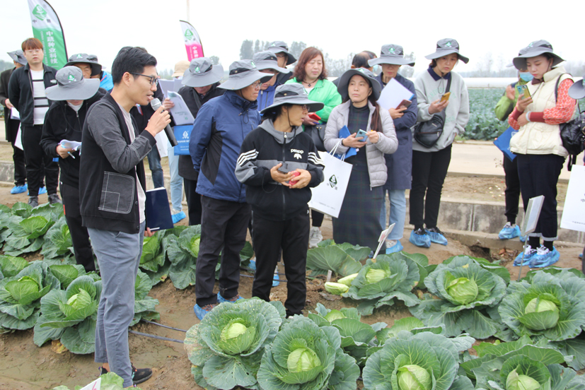 菠菜网站